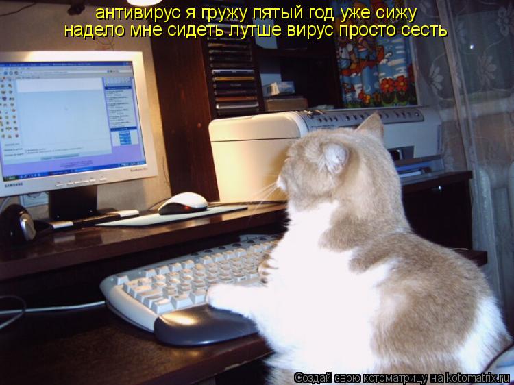 антивирус я гружу пятый год уже сижу надело мне сидеть лутше вирус просто сесть... Котоматрица: антивирус я гружу пятый год уже сижу надело мне сидеть лутше вирус просто сесть