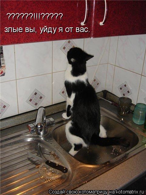 злые вы, уйду я от вас. ??????!!!?????... Котоматрица: злые вы, уйду я от вас. ??????!!!?????