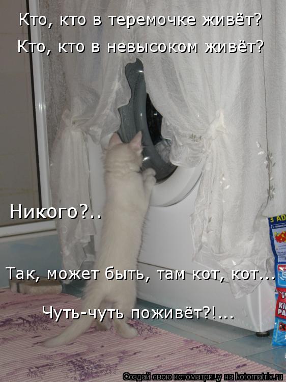 Кто, кто в теремочке живёт? Кто, кто в невысоком живёт? Никого?.. Чуть-чуть поживёт?!... Так, может б... Котоматрица: Кто, кто в теремочке живёт? Кто, кто в невысоком живёт? Никого?.. Чуть-чуть поживёт?!... Так, может быть, там кот, кот...