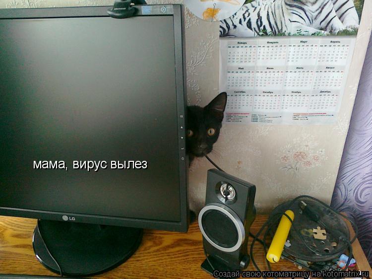 мама, вирус вылез... Котоматрица: мама, вирус вылез