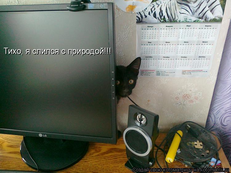 Тихо, я слился с природой!!!... Котоматрица: Тихо, я слился с природой!!!