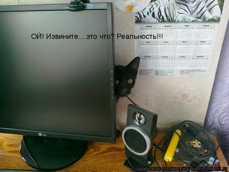 ОЙ! Извините....это что? Реальность!!!... Котоматрица: ОЙ! Извините....это что? Реальность!!!