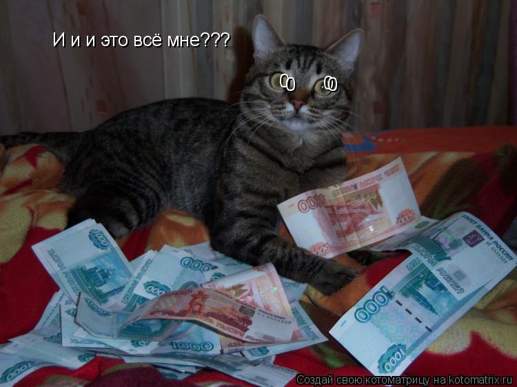 Котоматрица: И и и это всё мне???  0  0  0  0