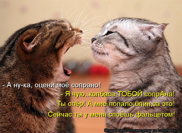 - А ну-ка, оцени моё сопрано! - Я чую..колбаса ТОБОЙ сопрАна! Ты спёр! А мне попало,блин,за это! Сейч... Котоматрица: - А ну-ка, оцени моё сопрано! - Я чую..колбаса ТОБОЙ сопрАна! Ты спёр! А мне попало,блин,за это! Сейчас ты у меня споёшь фальцетом!