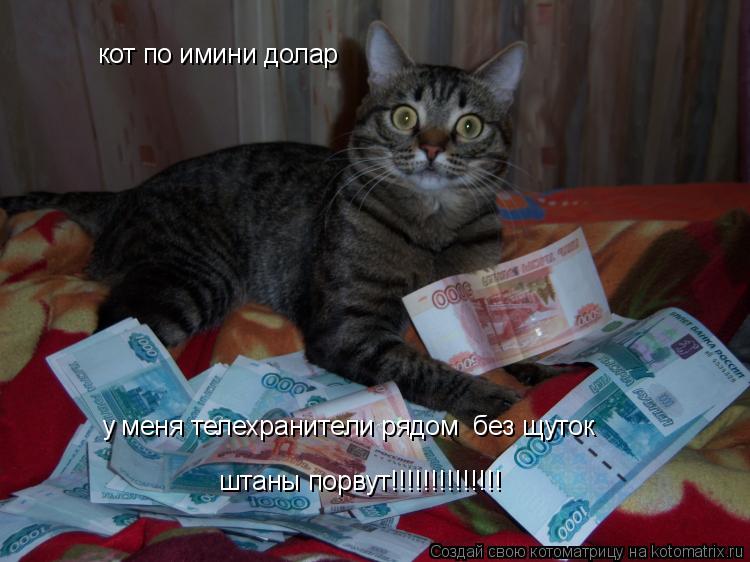 Котоматрица: кот по имини долар у меня телехранители рядом  без щуток штаны порвут!!!!!!!!!!!!!!
