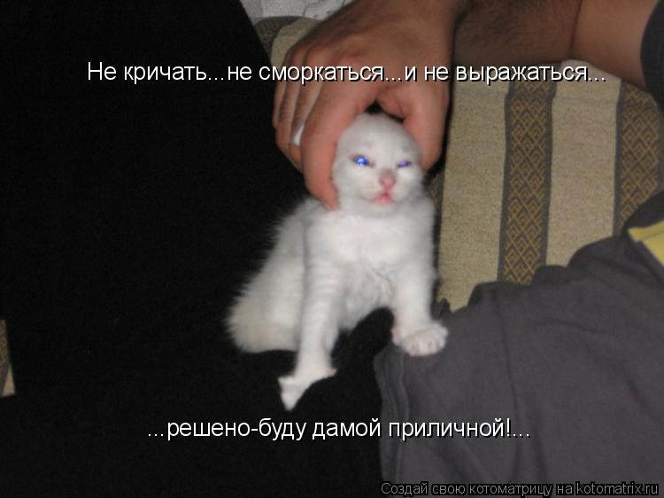 Не кричать...не сморкаться...и не выражаться... ...решено-буду дамой приличной!...... Котоматрица: Не кричать...не сморкаться...и не выражаться... ...решено-буду дамой приличной!...