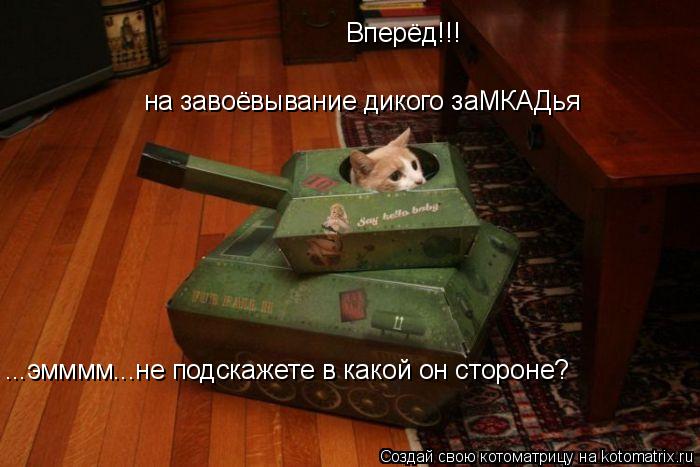 Вперёд!!! на завоёвывание дикого заМКАДья ...эмммм...не подскажете в какой он стороне?... Котоматрица: Вперёд!!! на завоёвывание дикого заМКАДья ...эмммм...не подскажете в какой он стороне?