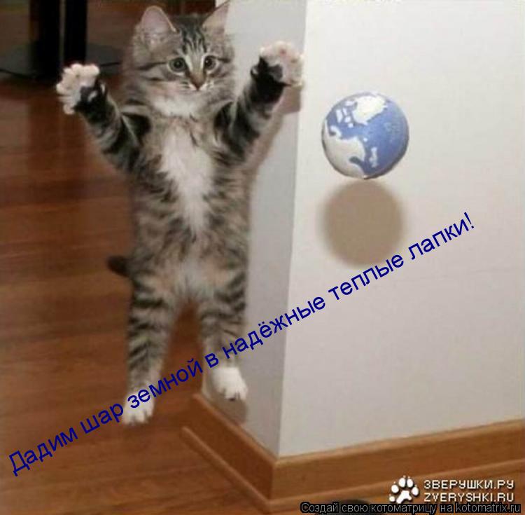Дадим шар земной в надёжные теплые лапки!... Котоматрица: Дадим шар земной в надёжные теплые лапки!