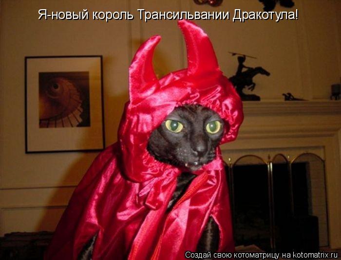 Я-новый король Трансильвании Дракотула!... Котоматрица: Я-новый король Трансильвании Дракотула!
