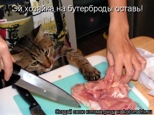 Эй,хозяйка,на бутерброды оставь!... Котоматрица: Эй,хозяйка,на бутерброды оставь!