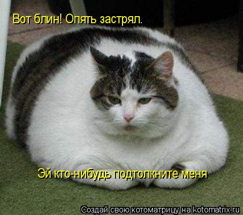 Эй кто-нибудь подтолкните меня Вот блин! Опять застрял.... Котоматрица: Эй кто-нибудь подтолкните меня Вот блин! Опять застрял.