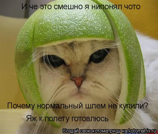 И че это смешно я нипонял чото Почему нормальный шлем не купили? Яж к полету готовлюсь... Котоматрица: И че это смешно я нипонял чото Почему нормальный шлем не купили? Яж к полету готовлюсь