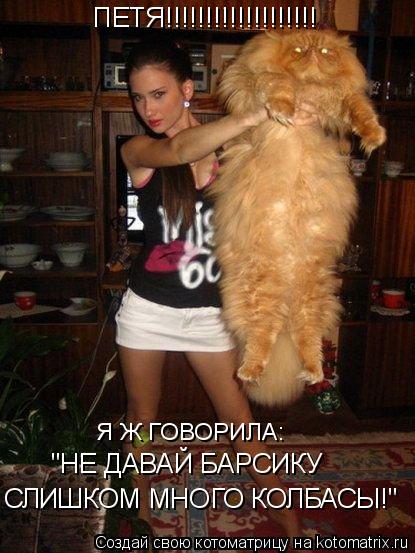 ПЕТЯ!!!!!!!!!!!!!!!!!!! Я Ж ГОВОРИЛА: "НЕ ДАВАЙ БАРСИКУ СЛИШКОМ МНОГО КОЛБАСЫ!"... Котоматрица: ПЕТЯ!!!!!!!!!!!!!!!!!!! Я Ж ГОВОРИЛА: "НЕ ДАВАЙ БАРСИКУ СЛИШКОМ МНОГО КОЛБАСЫ!"