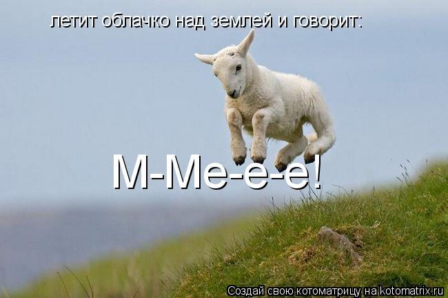 летит облачко над землей и говорит: М-Ме-е-е!... Котоматрица: летит облачко над землей и говорит: М-Ме-е-е!