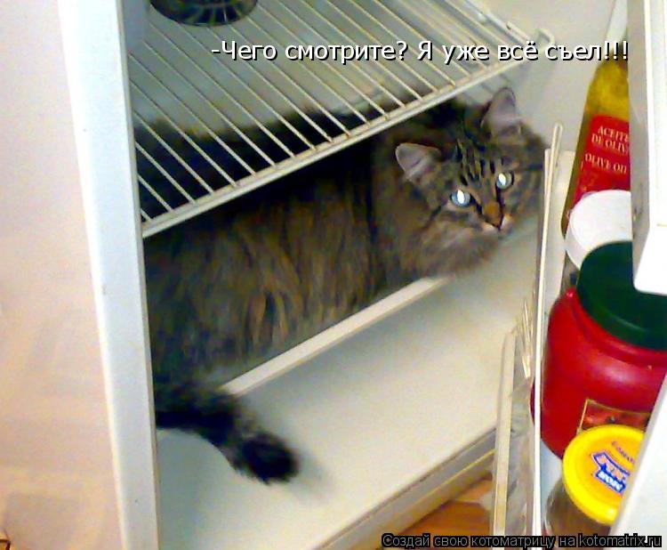 -Чего смотрите? Я уже всё съел!!!... Котоматрица: -Чего смотрите? Я уже всё съел!!!