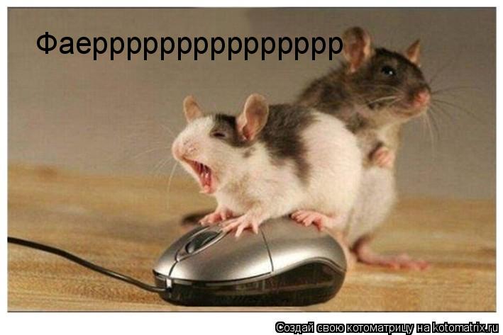 Фаеррррррррррррррр... Котоматрица: Фаеррррррррррррррр