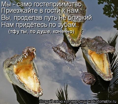 Мы - само гостеприимство. Приезжайте в гости к нам. Вы, проделав путь не близкий Нам придётесь по зуб... Котоматрица: Мы - само гостеприимство. Приезжайте в гости к нам. Вы, проделав путь не близкий Нам придётесь по зубам.. (тфу ты, по душе, конечно)