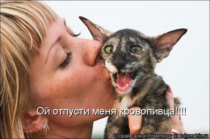 Ой отпусти меня,кровопивца!!!!... Котоматрица: Ой отпусти меня,кровопивца!!!!