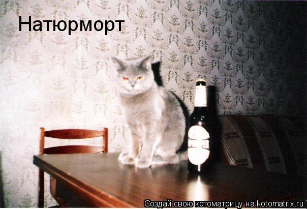 Натюрморт... Котоматрица: Натюрморт