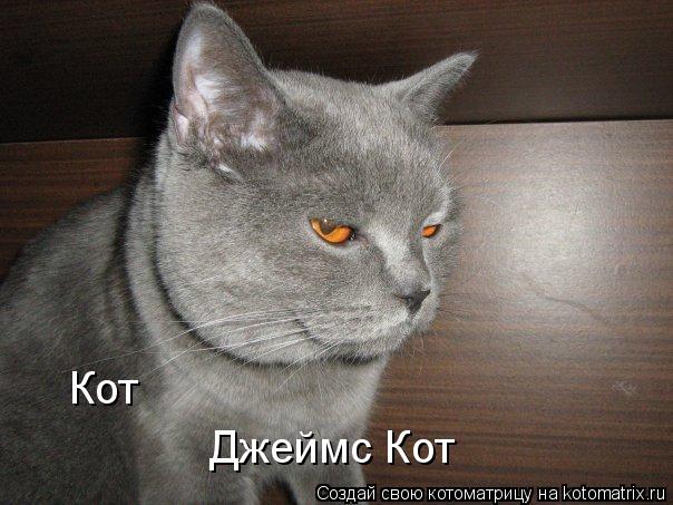 Кот Джеймс Кот... Котоматрица: Кот Джеймс Кот