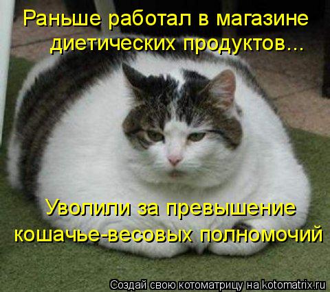 Раньше работал в магазине диетических продуктов... Уволили за превышение кошачье-весовых полномочий... Котоматрица: Раньше работал в магазине диетических продуктов... Уволили за превышение кошачье-весовых полномочий