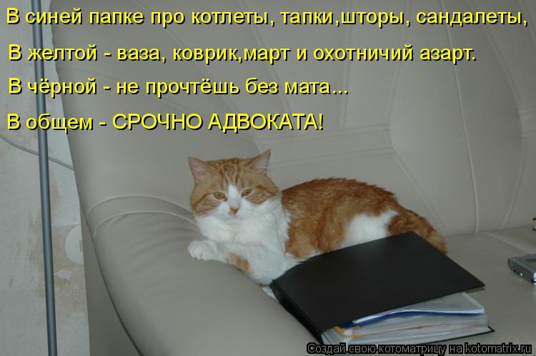 В синей папке про котлеты, тапки,шторы, сандалеты, В желтой - ваза, коврик,март и охотничий азарт. В ... Котоматрица: В синей папке про котлеты, тапки,шторы, сандалеты, В желтой - ваза, коврик,март и охотничий азарт. В чёрной - не прочтёшь без мата... В общем - СР