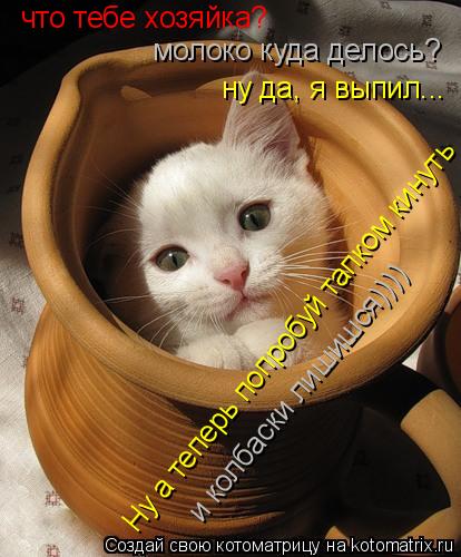 что тебе хозяйка? молоко куда делось? ну да, я выпил... Ну а теперь попробуй тапком кинуть и колбаски... Котоматрица: что тебе хозяйка? молоко куда делось? ну да, я выпил... Ну а теперь попробуй тапком кинуть и колбаски лишишся))))