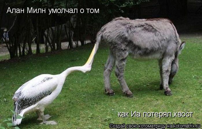 Алан Милн умолчал о том как Иа потерял хвост... Котоматрица: Алан Милн умолчал о том как Иа потерял хвост