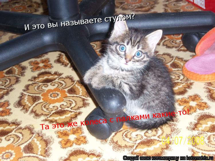 И это вы называете стулом? Та это же колеса с палками какие-то!... Котоматрица: И это вы называете стулом? Та это же колеса с палками какие-то!