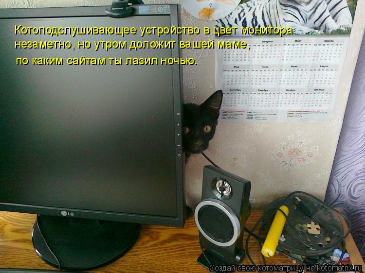 Котоподслушивающее устройство в цвет монитора незаметно, но утром доложит вашей маме, по каким сайта... Котоматрица: Котоподслушивающее устройство в цвет монитора незаметно, но утром доложит вашей маме, по каким сайтам ты лазил ночью.