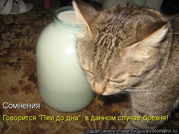 Сомнения Говорится "Пей до дна", в данном случае брехня!... Котоматрица: Сомнения Говорится "Пей до дна", в данном случае брехня!