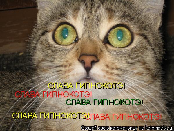 СЛАВА ГИПНОКОТЭ! СЛАВА ГИПНОКОТЭ! СЛАВА ГИПНОКОТЭ! СЛАВА ГИПНОКОТЭ! СЛАВА ГИПНОКОТЭ!... Котоматрица: СЛАВА ГИПНОКОТЭ! СЛАВА ГИПНОКОТЭ! СЛАВА ГИПНОКОТЭ! СЛАВА ГИПНОКОТЭ! СЛАВА ГИПНОКОТЭ!