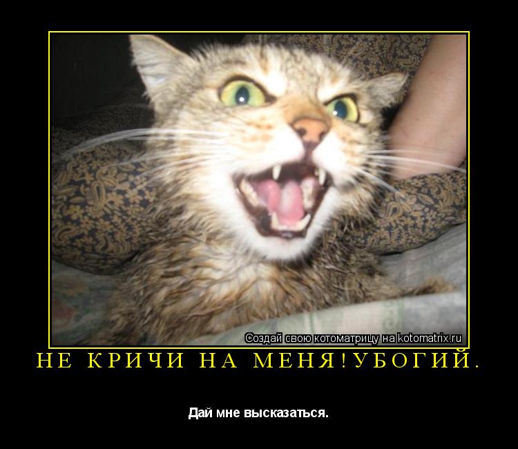 Котоматрица: Не кричи на меня!Убогий. Дай мне высказаться.