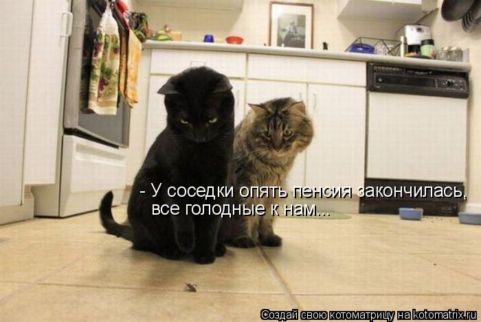 - У соседки опять пенсия закончилась, все голодные к нам...... Котоматрица: - У соседки опять пенсия закончилась, все голодные к нам...