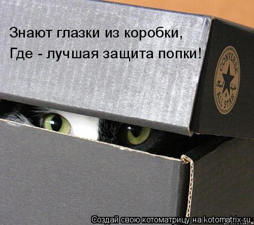Знают глазки из коробки, Где - лучшая защита попки!... Котоматрица: Знают глазки из коробки, Где - лучшая защита попки!