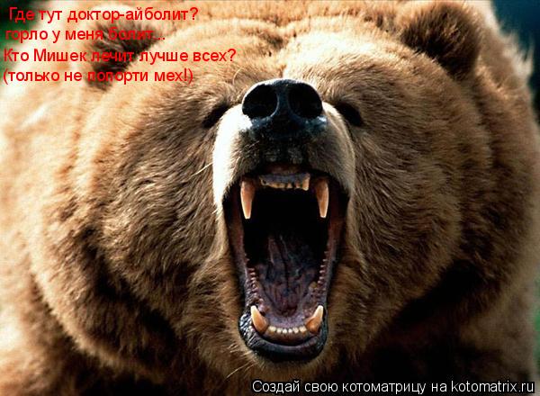 Где тут доктор-айболит? горло у меня болит... Кто Мишек лечит лучше всех? (только не попорти мех!)... Котоматрица: Где тут доктор-айболит? горло у меня болит... Кто Мишек лечит лучше всех? (только не попорти мех!)
