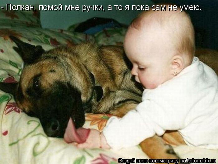 - Полкан, помой мне ручки, а то я пока сам не умею.... Котоматрица: - Полкан, помой мне ручки, а то я пока сам не умею.