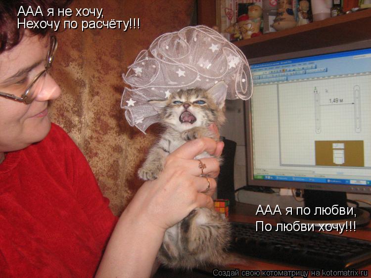 ААА я не хочу, Нехочу по расчёту!!! ААА я по любви , По любви хочу!!!... Котоматрица: ААА я не хочу, Нехочу по расчёту!!! ААА я по любви , По любви хочу!!!