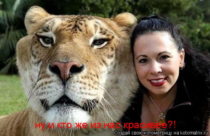 ну и кто же из нас красивее?!... Котоматрица: ну и кто же из нас красивее?!