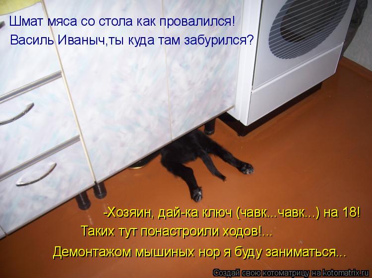 Василь Иваныч,ты куда там забурился? Демонтажом мышиных нор я буду заниматься... -Хозяин, дай-ка ключ... Котоматрица: Василь Иваныч,ты куда там забурился? Демонтажом мышиных нор я буду заниматься... -Хозяин, дай-ка ключ (чавк...чавк...) на 18! Таких тут понастроил