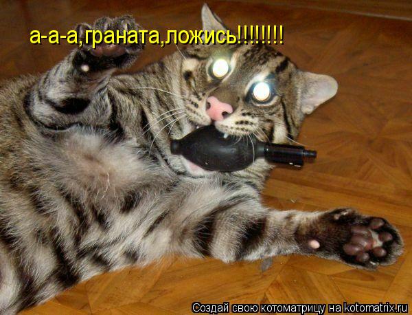 а-а-а,граната,ложись!!!!!!!!... Котоматрица: а-а-а,граната,ложись!!!!!!!!