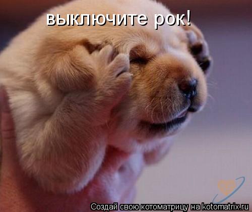 выключите рок!... Котоматрица: выключите рок!
