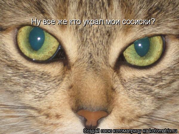 Ну все же кто украл мои сосиски?... Котоматрица: Ну все же кто украл мои сосиски?