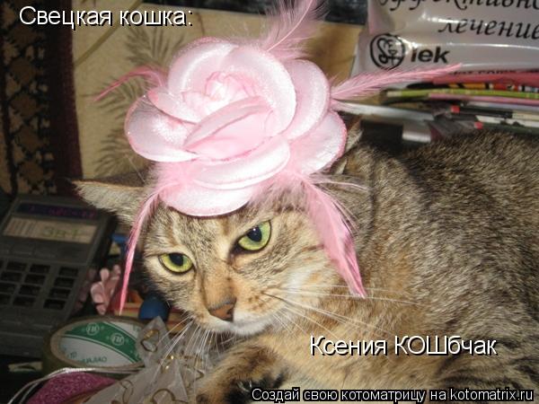 Свецкая кошка: Ксения КОШбчак... Котоматрица: Свецкая кошка: Ксения КОШбчак