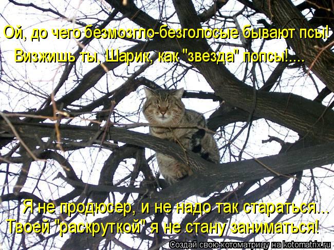 Ой, до чего безмозгло-безголосые бывают псы! Визжишь ты, Шарик, как "звезда" попсы!.... Я не продюсе... Котоматрица: Ой, до чего безмозгло-безголосые бывают псы! Визжишь ты, Шарик, как "звезда" попсы!.... Я не продюсер, и не надо так стараться... Твоей "раскрутко