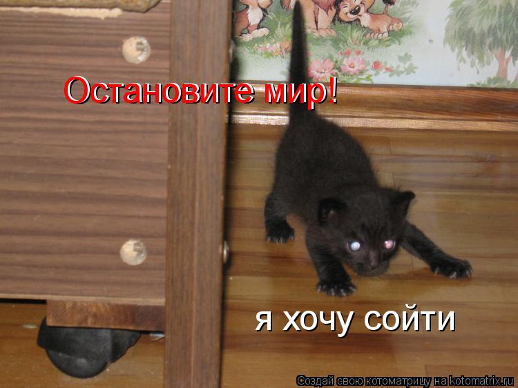 Остановите мир! Остановите мир! я хочу сойти... Котоматрица: Остановите мир! Остановите мир! я хочу сойти