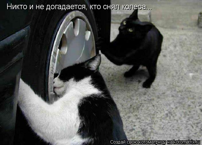 Никто и не догадается, кто снял колеса...... Котоматрица: Никто и не догадается, кто снял колеса...