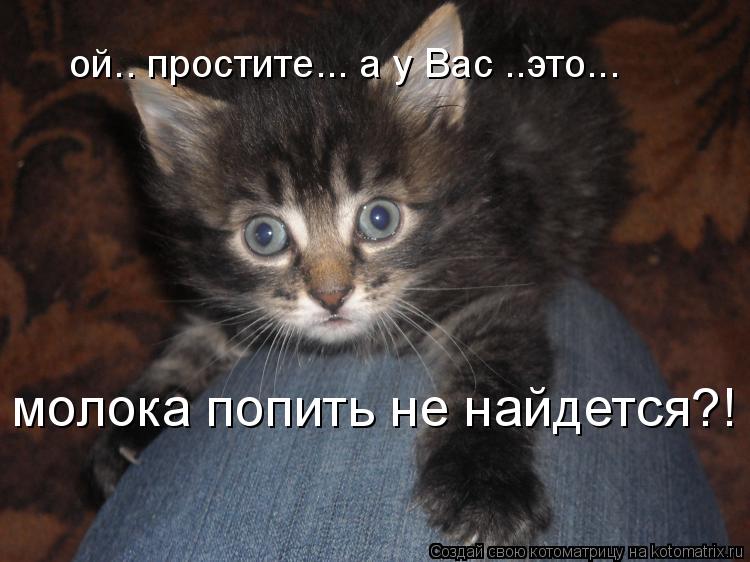 молока попить не найдется?! ой.. простите... а у Вас ..это...... Котоматрица: молока попить не найдется?! ой.. простите... а у Вас ..это...