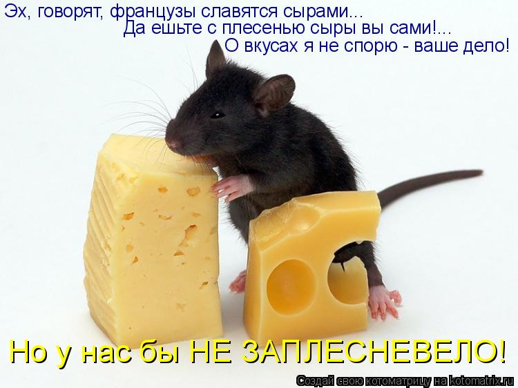 Эх, говорят, французы славятся сырами... О вкусах я не спорю - ваше дело! Но у нас бы НЕ ЗАПЛЕСНЕВЕЛО... Котоматрица: Эх, говорят, французы славятся сырами... О вкусах я не спорю - ваше дело! Но у нас бы НЕ ЗАПЛЕСНЕВЕЛО! Да ешьте с плесенью сыры вы сами!...