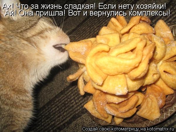 Ах! Что за жизнь сладкая! Если нету хозяйки! Ай! Она пришла! Вот и вернулись комплексы!... Котоматрица: Ах! Что за жизнь сладкая! Если нету хозяйки! Ай! Она пришла! Вот и вернулись комплексы!